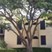 Waterford at the Park - Exterior - Photo 7 of 7
