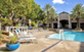 Milano at Westchase - Pool - Photo 2 of 16