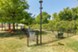 Brixton McKinney - Dog Park - Photo 8 of 24