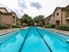 Villages of Briar Forest - Pool - Photo 4 of 24