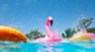 Lenox Grandview - Pool - Photo 2 of 13