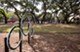 Walnut Hill - Dog Park - Photo 5 of 13