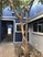 Cedar Tree - Exterior - Photo 2 of 2