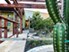 South Side - Courtyard - Photo 4 of 8