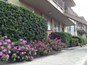 Lawnwood Apartments 78228 TX