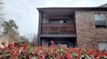 Carrara at Cypress Creek Apartments 77379 TX