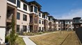 Fairfield Creek Estates Apartments 77433 TX