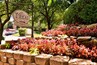 Villas at Katy Trail Apartments 75201 TX