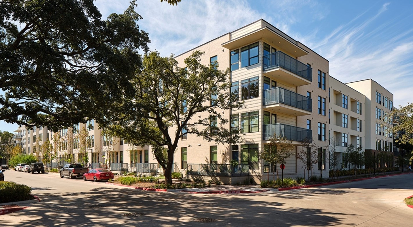 Ladybird - Austin, TX - Photo 1 of 14