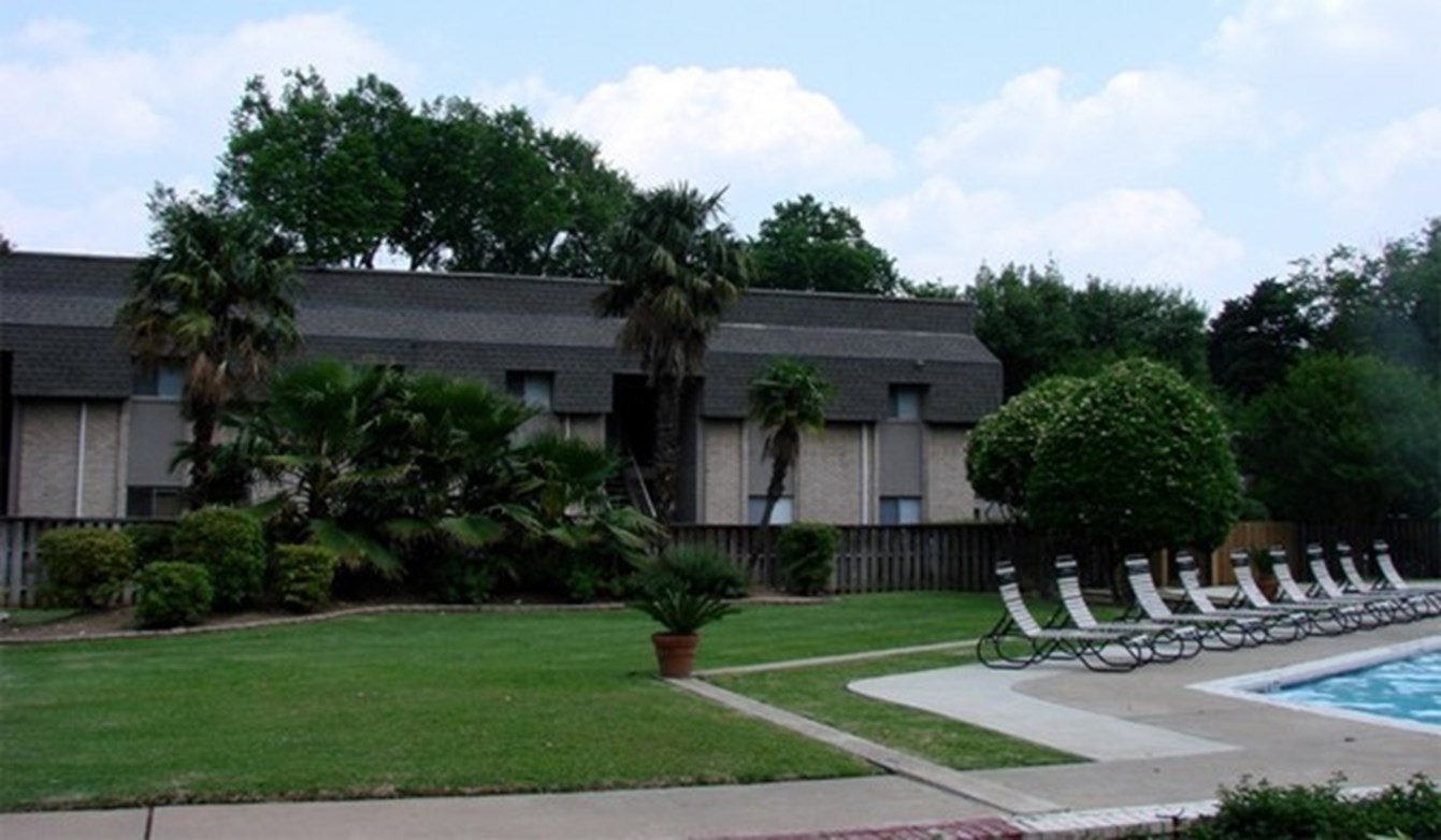 Brook in Travis Heights - Austin, TX - Photo 1 of 3