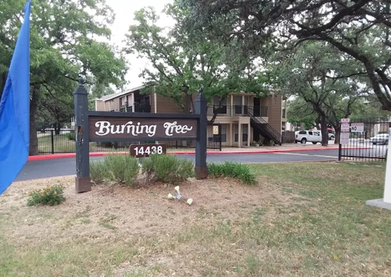 Burning Tree - San Antonio, TX - Photo 1 of 8