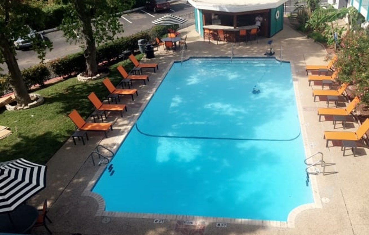 Beverly - Pool - Photo 3 of 25