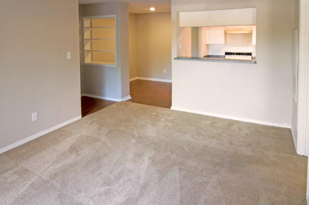 Meadow Park - Living - Photo 5 of 9