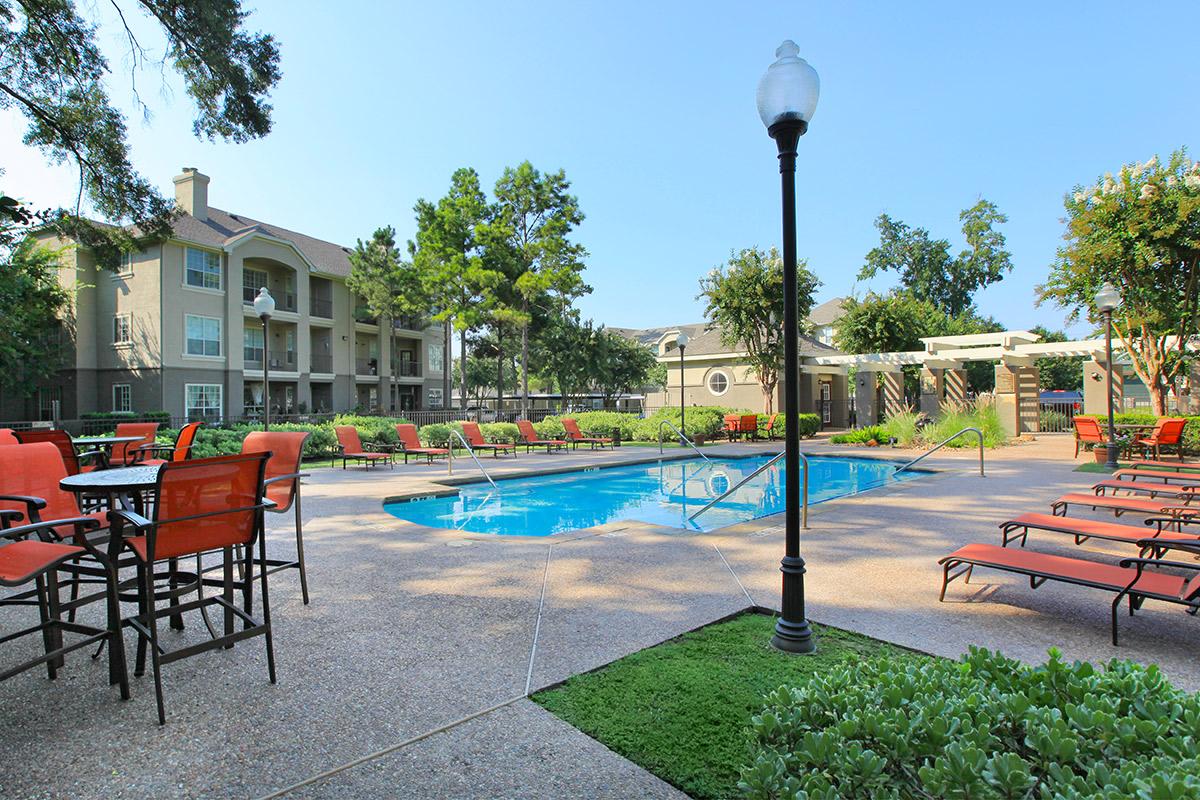 Aviara - Pool - Photo 7 of 33