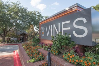Vines Apartments Lewisville Texas