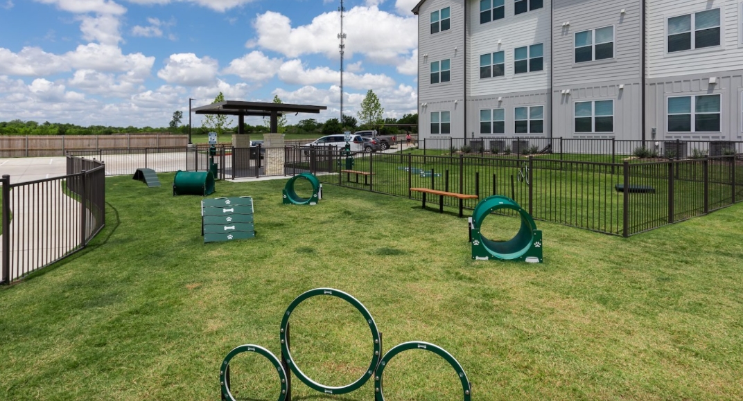Prose Buda - Dog Park - Photo 8 of 22