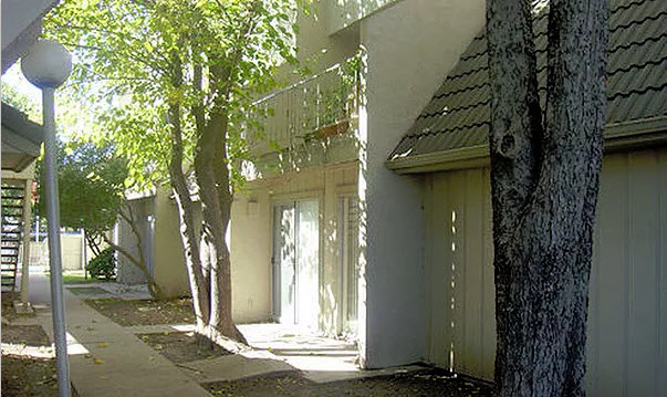 Forest Park Village Apartment