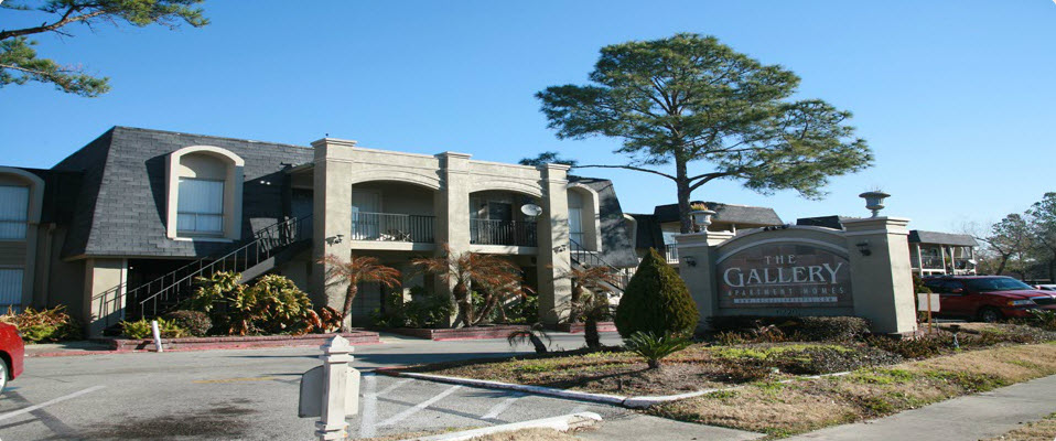 Gallery Apartment