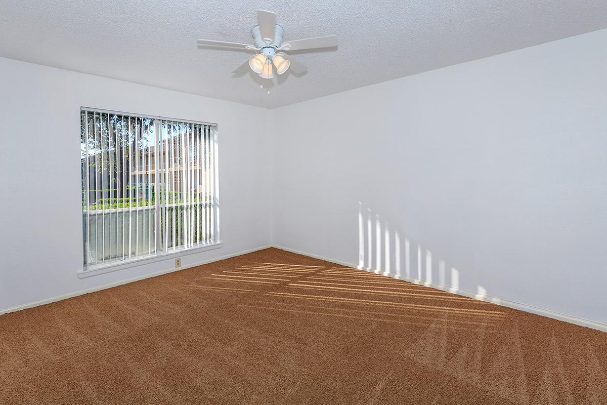 Executive - Living - Photo 8 of 9