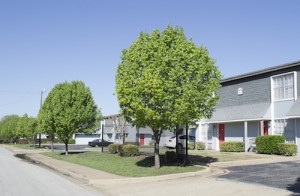 Buena Vista Apartment