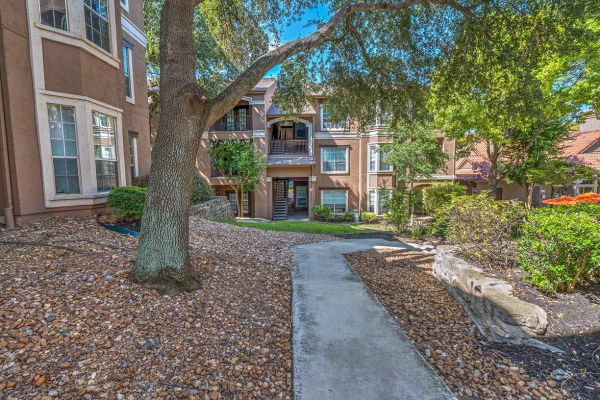 Carlyle Place San Antonio 1099 For 1 2 Bed Apts