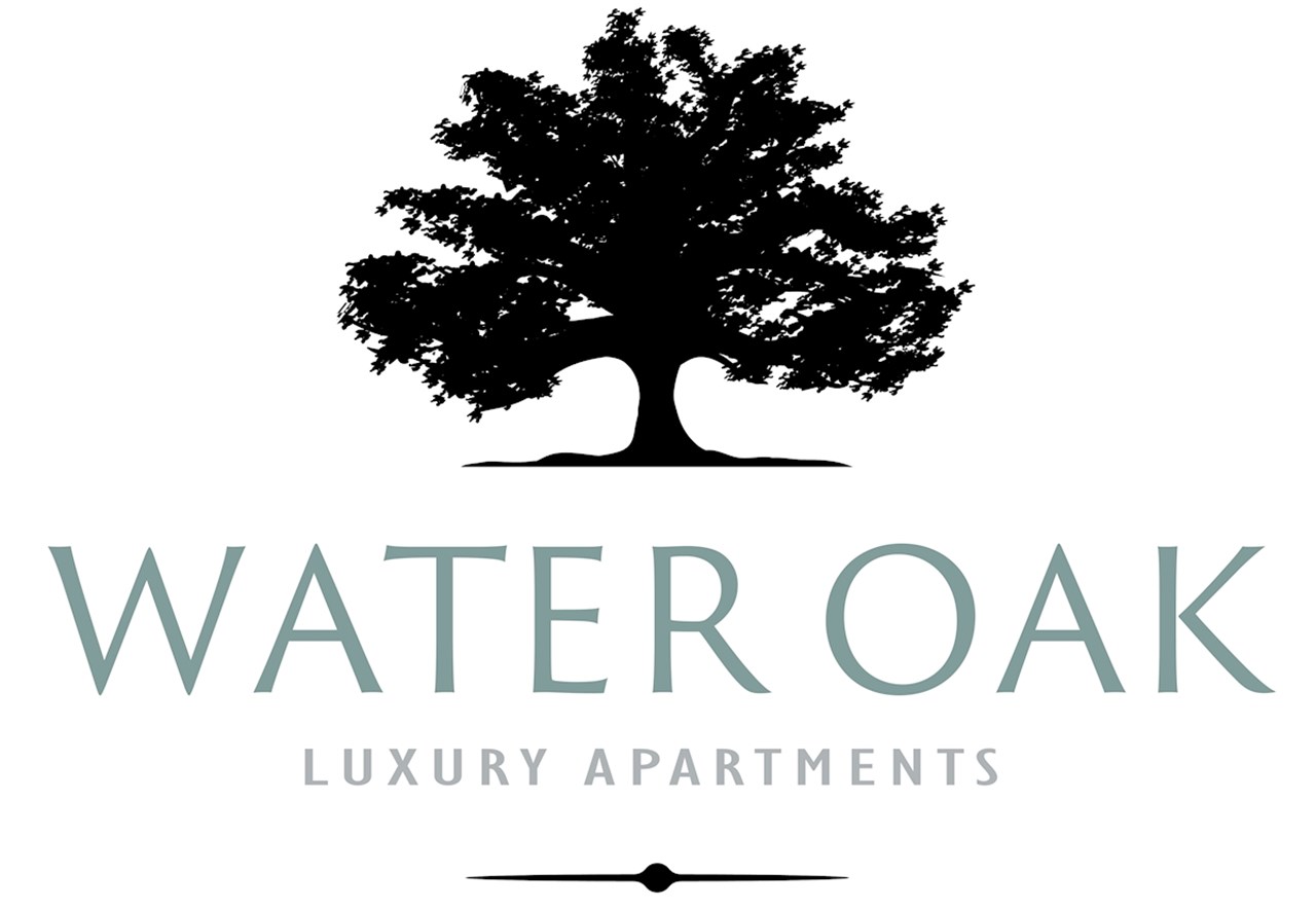 Water Oak - Austin, TX - Photo 1 of 2