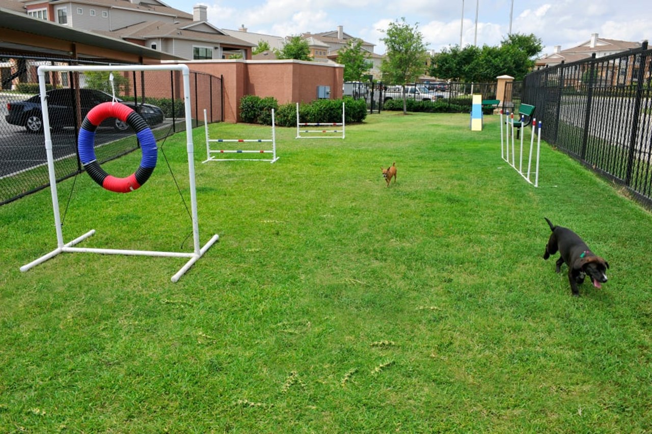 Onion Creek - Dog Park - Photo 2 of 7