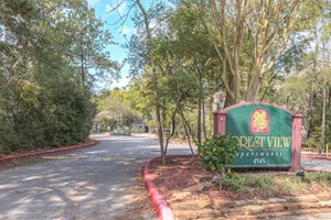 Forest View Apartments The Woodlands Texas