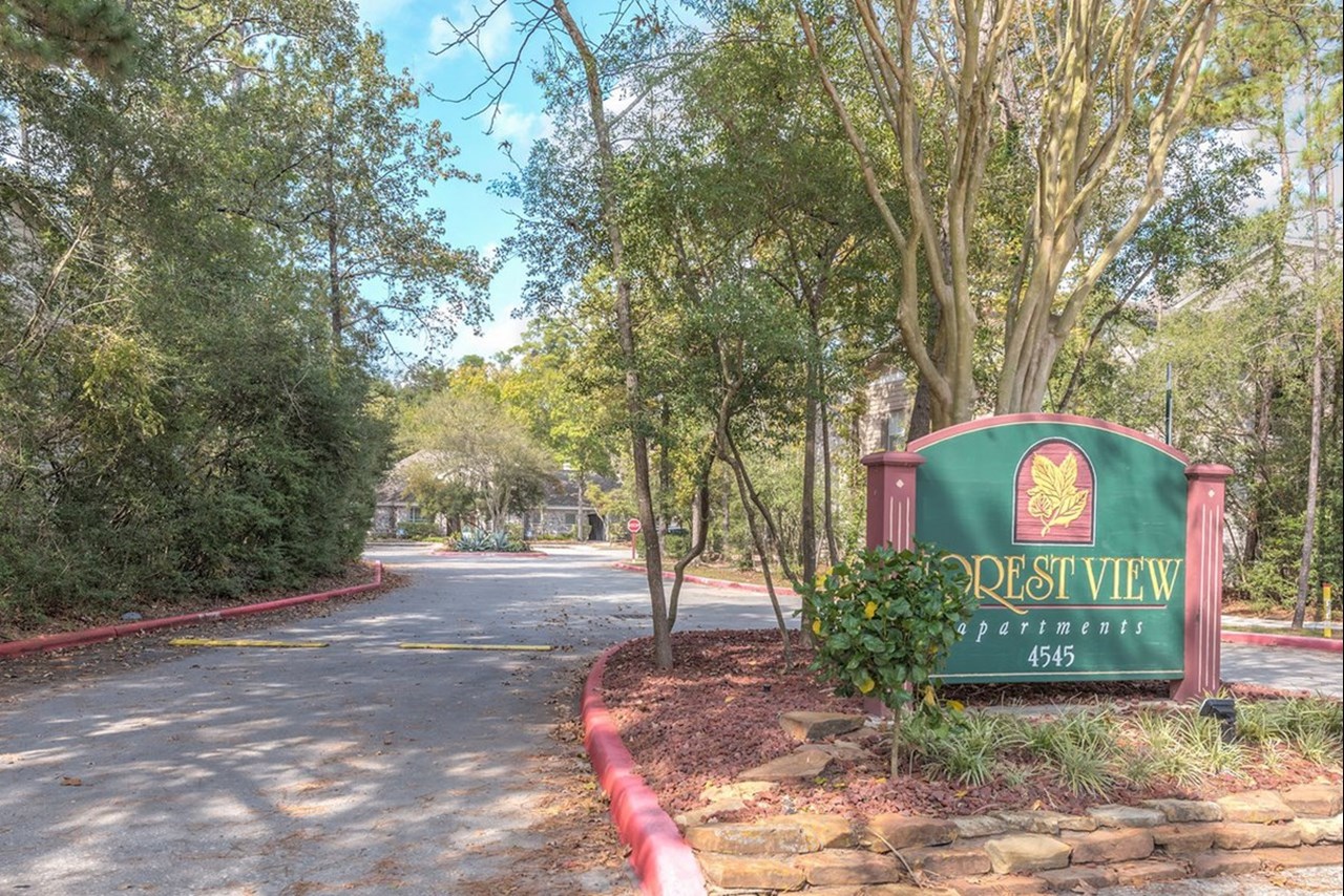 Forest View - The Woodlands, TX - Photo 1 of 9