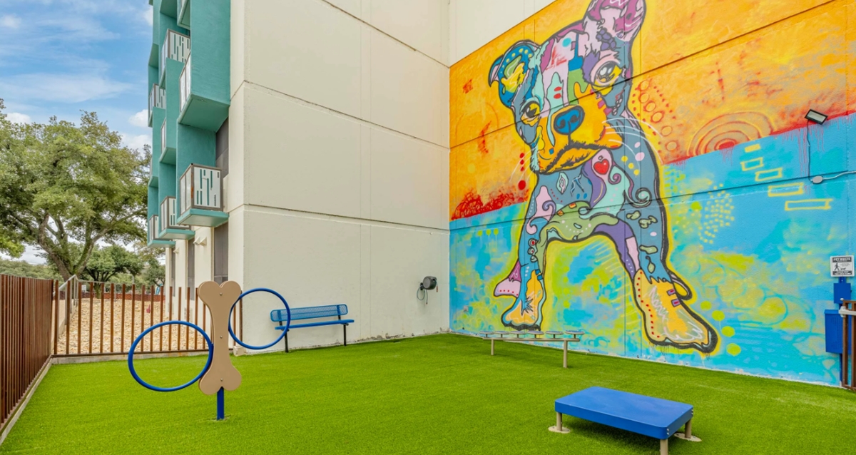 Veer - Dog Park - Photo 3 of 17