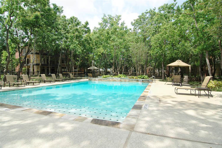 Everwood - Pool - Photo 6 of 23