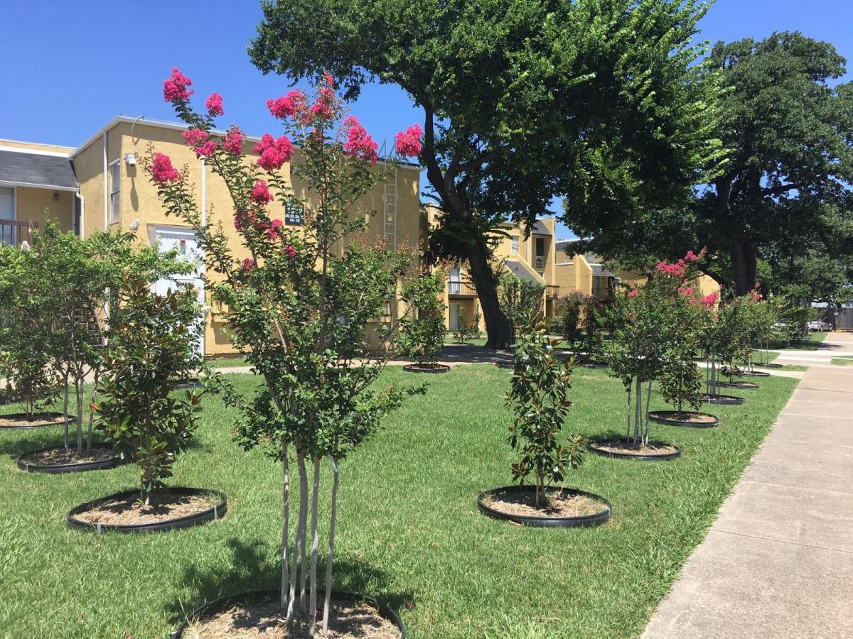 Village at the Crossroads Apartment