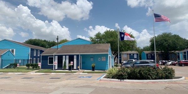 Aster on Aldine