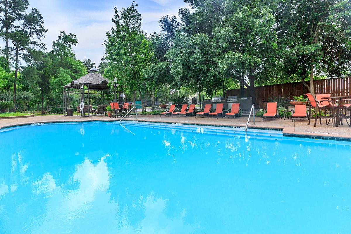 Aviara - Pool - Photo 6 of 33