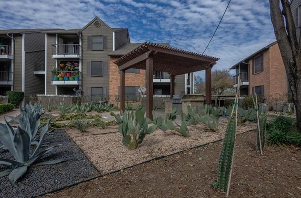Axel - Austin, TX - Photo 1 of 14