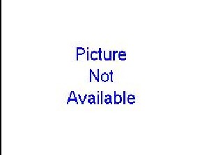 3827 Bowser Apartment