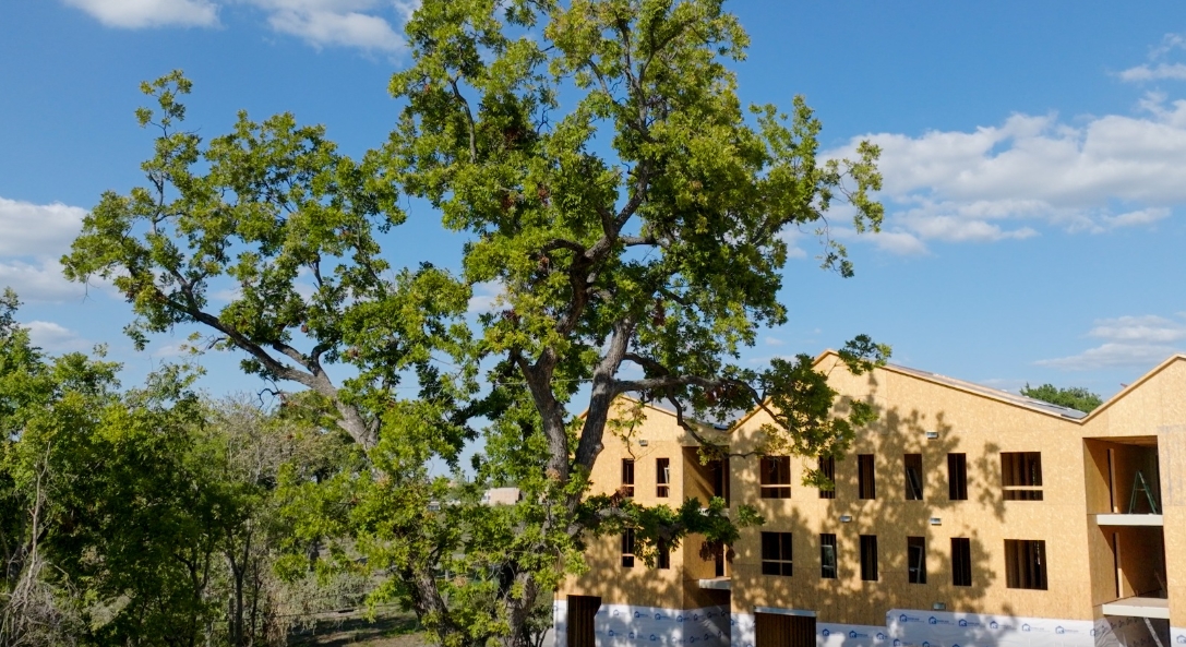 Finch - Exterior - Photo 5 of 11