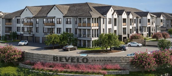 Bevelo Larkspur