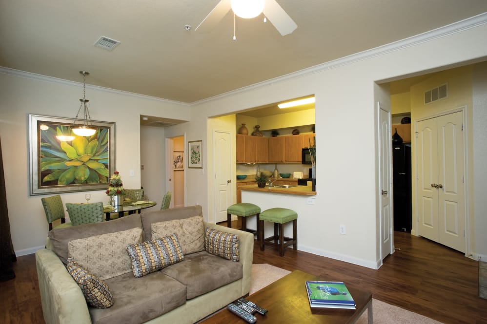 Onion Creek - Living Area - Photo 6 of 7