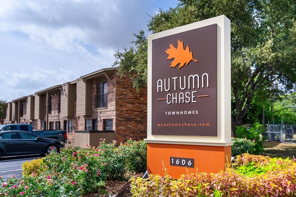 Autumn Chase