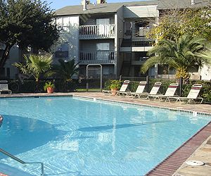 Chestnut Hill Apartment