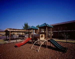 Spanish Ridge - Playground - Photo 6 of 7