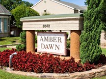 Amber Dawn