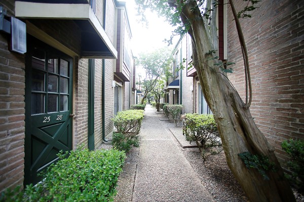 Forest Oaks