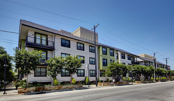 Vue Live Oak