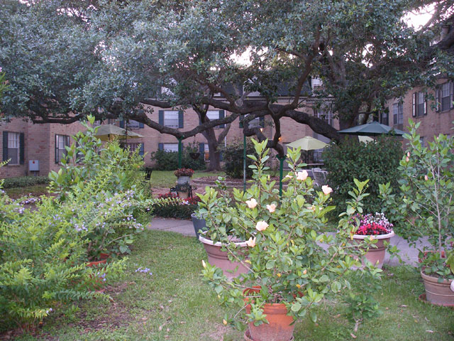 Treemont Senior Living - Exterior - Photo 4 of 33