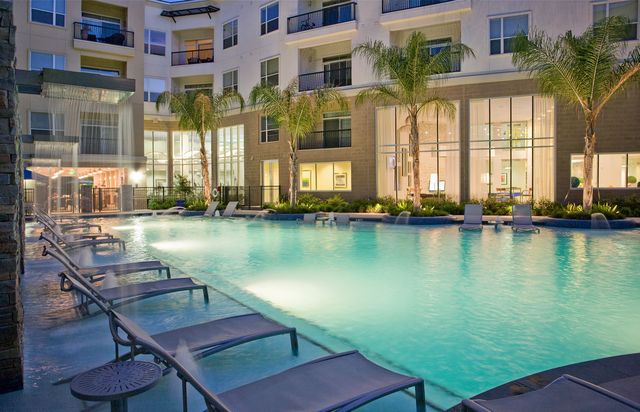 Domain at City Centre - Pool - Photo 4 of 16