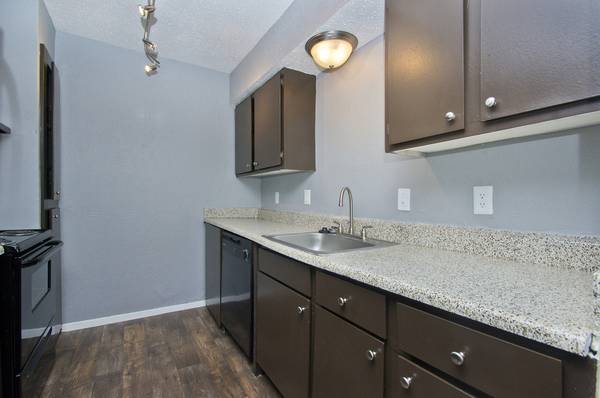 Dylan - Kitchen - Photo 7 of 9