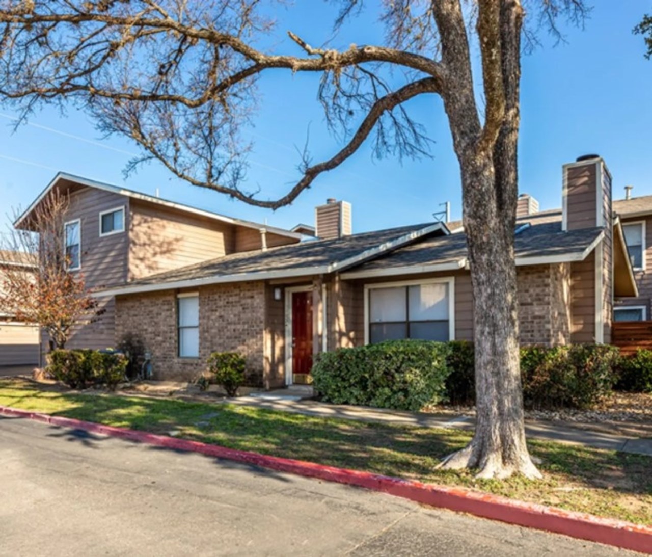 Camaron - San Antonio, TX - Photo 1 of 25