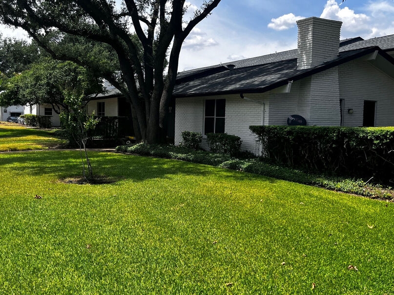 Northwood Heights - Exterior - Photo 3 of 10